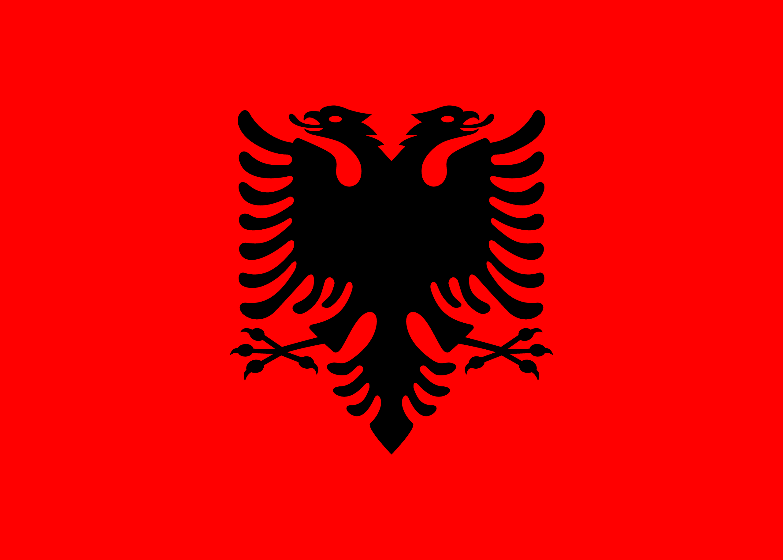 アルバニア共和国 flag