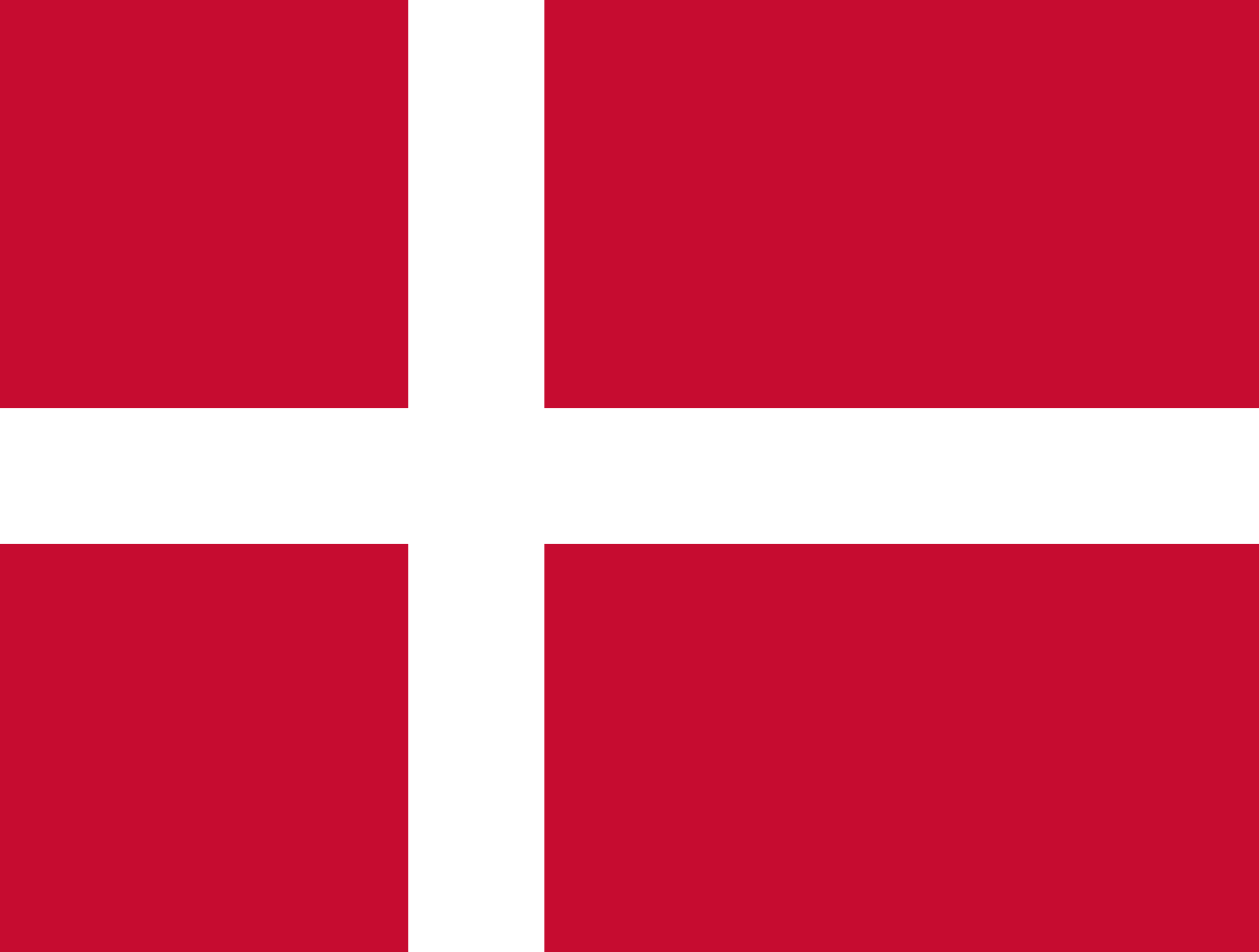 デンマーク王国 flag