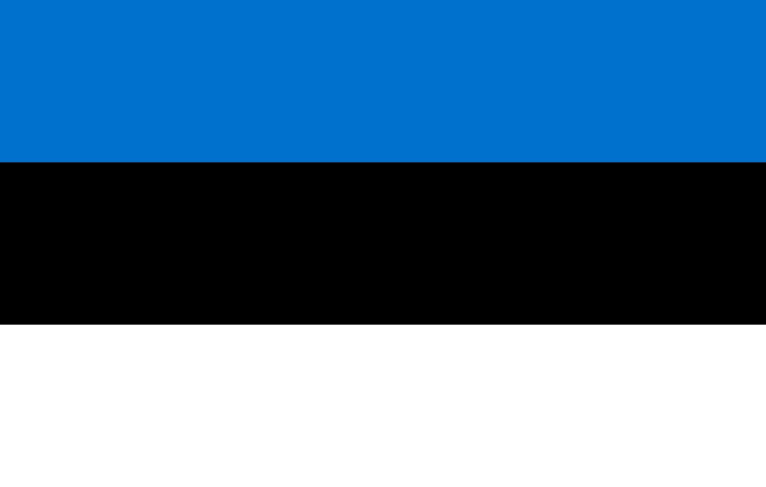 エストニア共和国 flag
