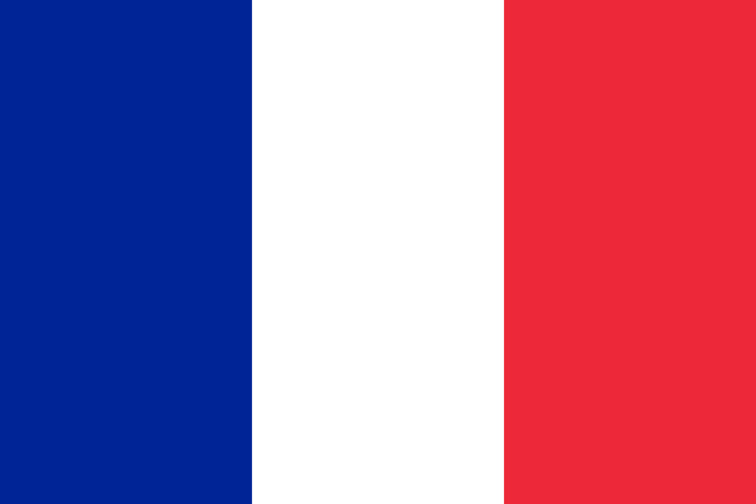 フランス共和国 flag