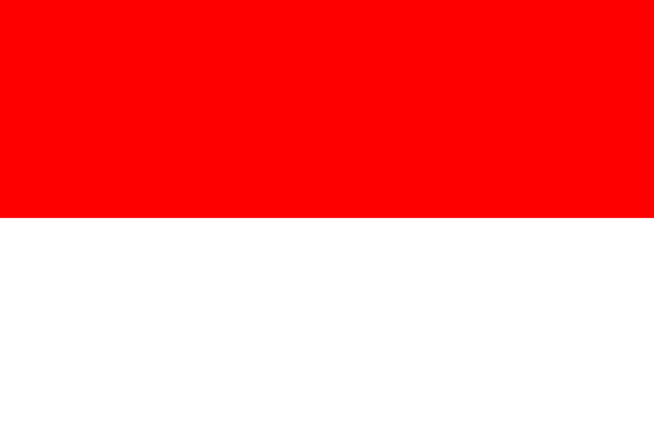 インドネシア共和国 flag
