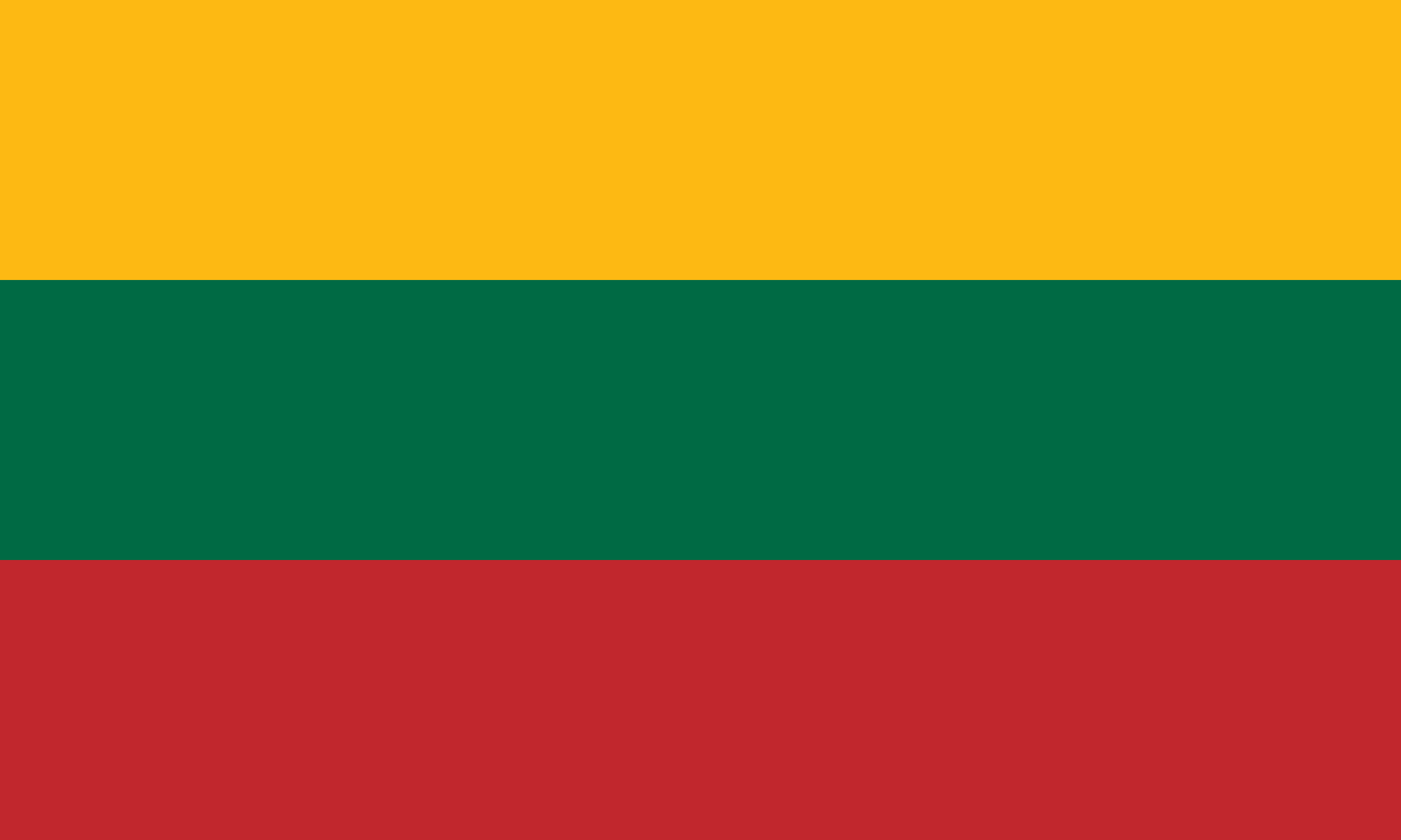 リトアニア共和国 flag