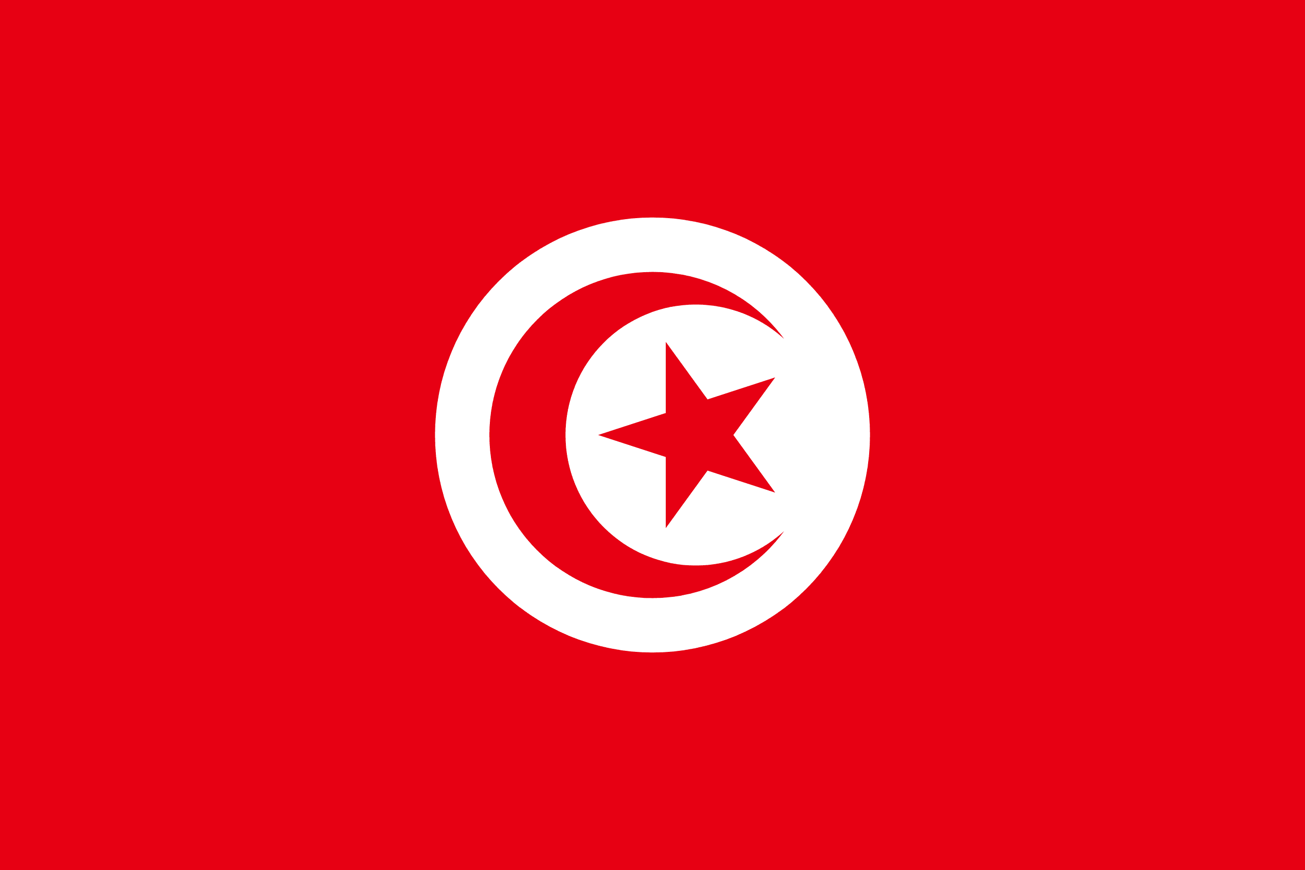 チュニジア共和国 flag